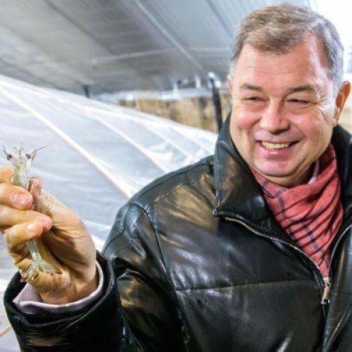 The Russia’s largest shrimp farm was opened in Kaluga Region