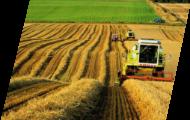 Kaluga Region: RUR 1,183 Million Granted to Support Agriculture in 2013