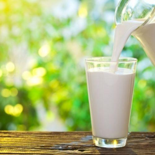 Калужские производители и переработчики молока смогут сотрудничать online