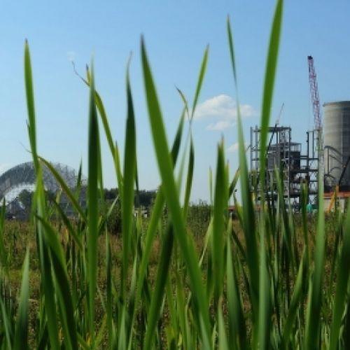 Калужская область вошла в ТОП 10 рейтинга эколого-энергетической эффективности регионального бизнеса