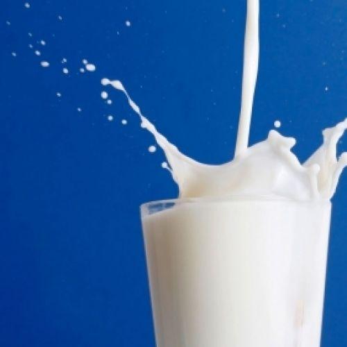 E-Commerce Platform for Milk Producers and Processors