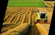 Калужская область: за 2013 год на поддержку сельского хозяйства выделены 1 миллиард 183 миллиона рублей